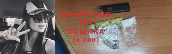 PSILOCYBIN Белокуриха
