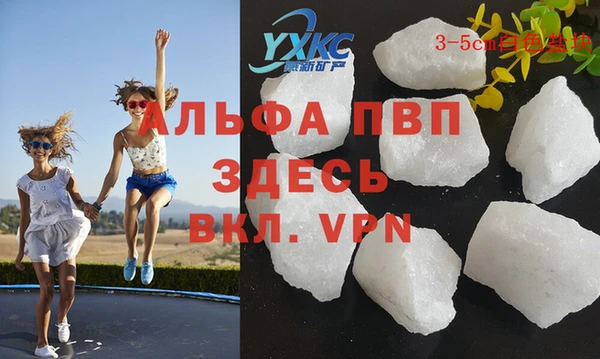 PSILOCYBIN Белокуриха