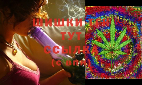 PSILOCYBIN Белокуриха